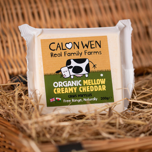 Mellow Creamy Cheddar