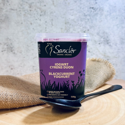 Pasture Fed Natural Yoghurt Blackcurrant