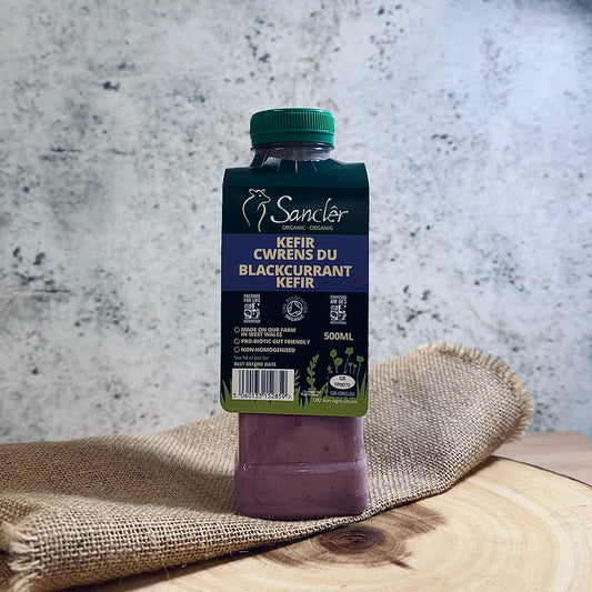 Pasture Fed Natural Kefir Blackcurrant Bottle 500ml