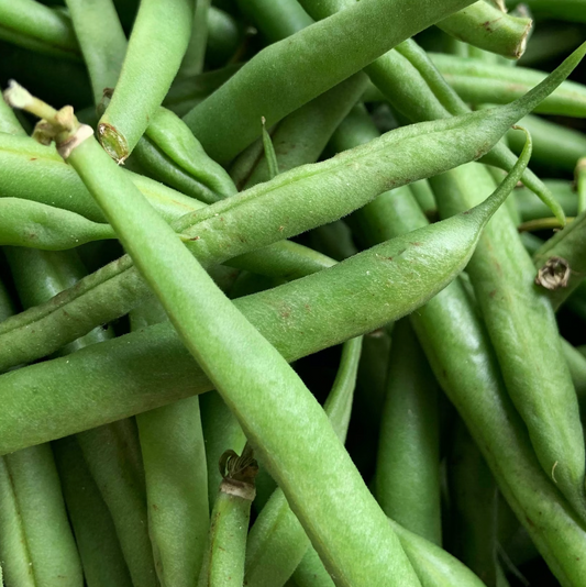 Broad Beans 500g