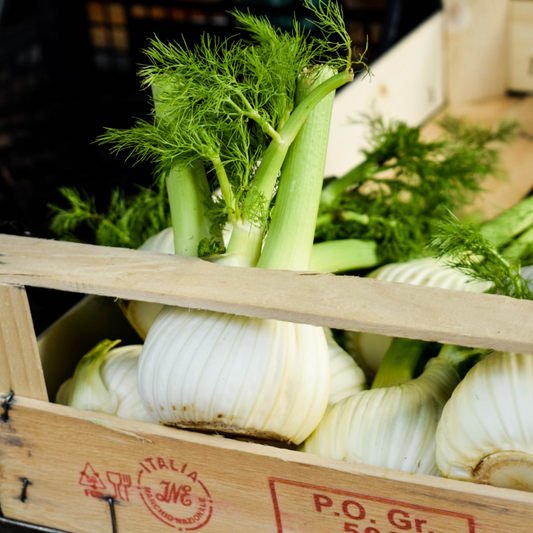 Fennel