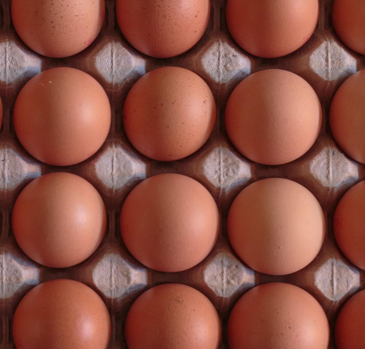 Koop & Kiln Pasture Raised Eggs - Tray of 30