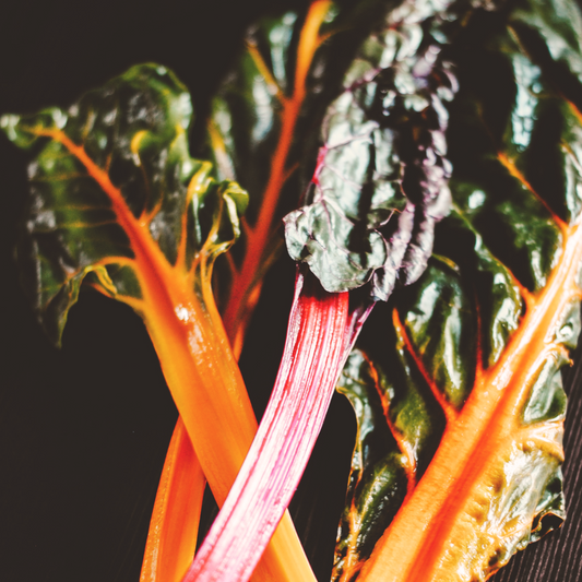 Rainbow Chard