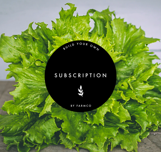 Assorted Salad (Lettuce, Salad Pack)