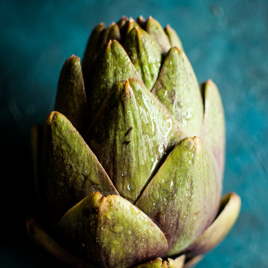 Green Queen Artichokes - Large