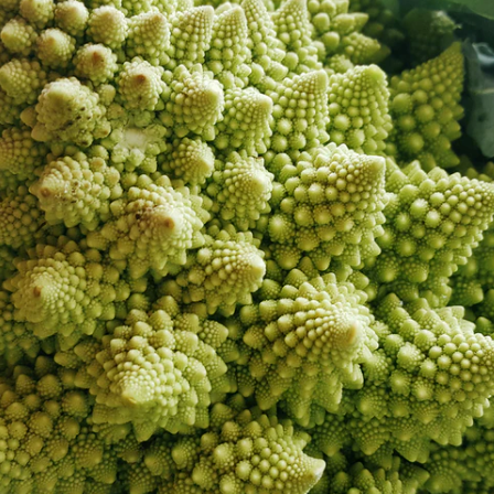 Romanesco