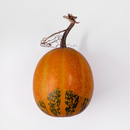 Squash Hokkaido