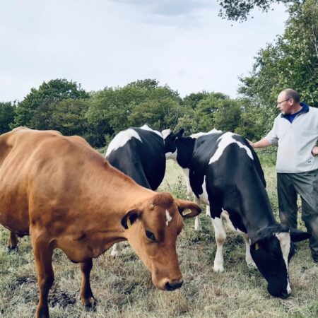 Llaeth Beynon Dairy