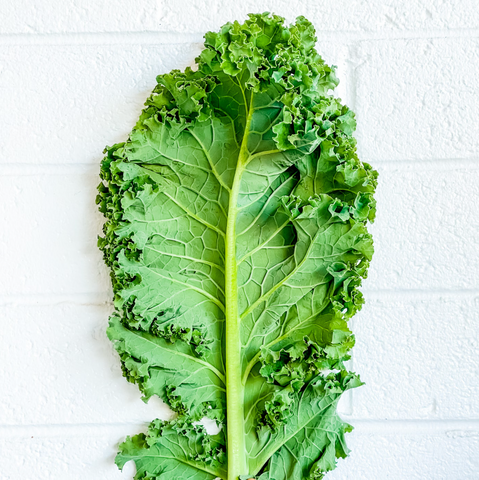 Kale Green Curly 250g