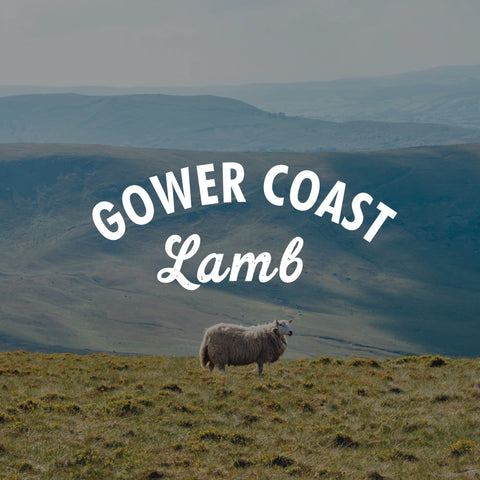 Gower Coast Meat Lamb Bundle