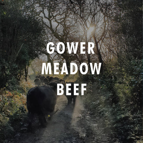 Gower Meadow Beef Bundle