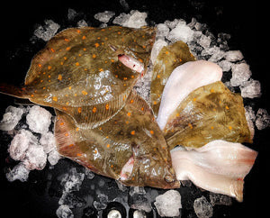 Plaice