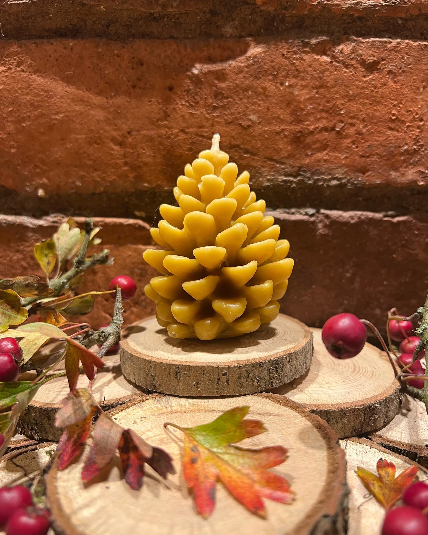 Gower Beeswax Honeycomb Pinecone candle