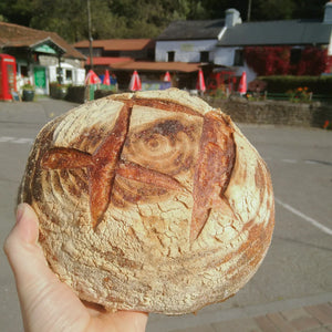 Gower Sourdough Loaf - Order Before 5pm Tues