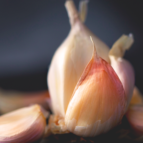 Garlic x 3