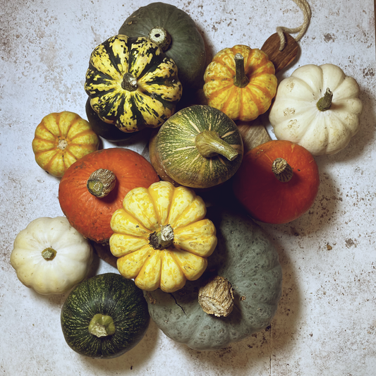 Mixed Squash Box