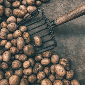 Red Sentanta Potato (1kg)