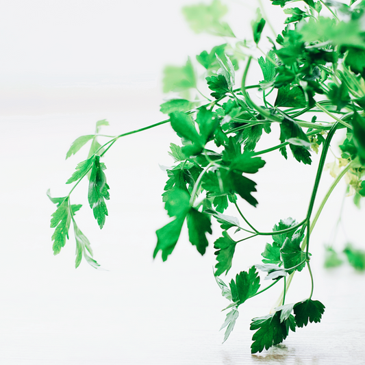 Parsley Pack 50g