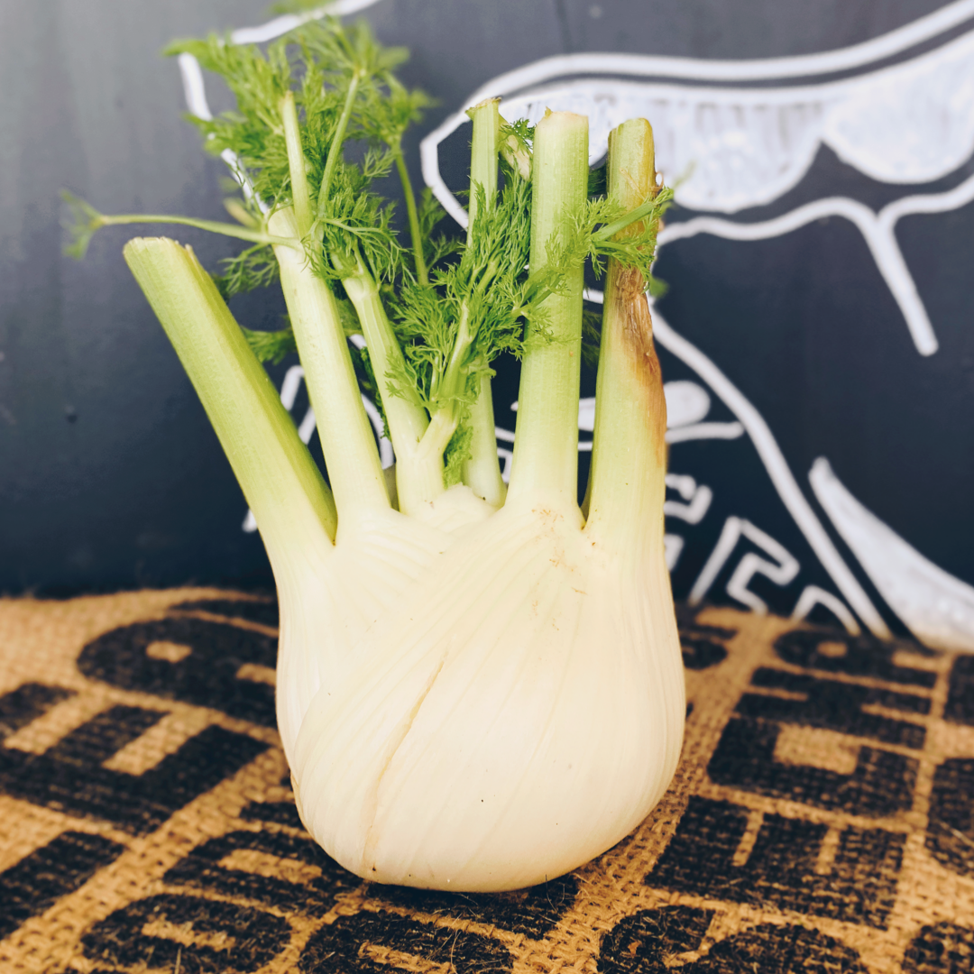 Fennel