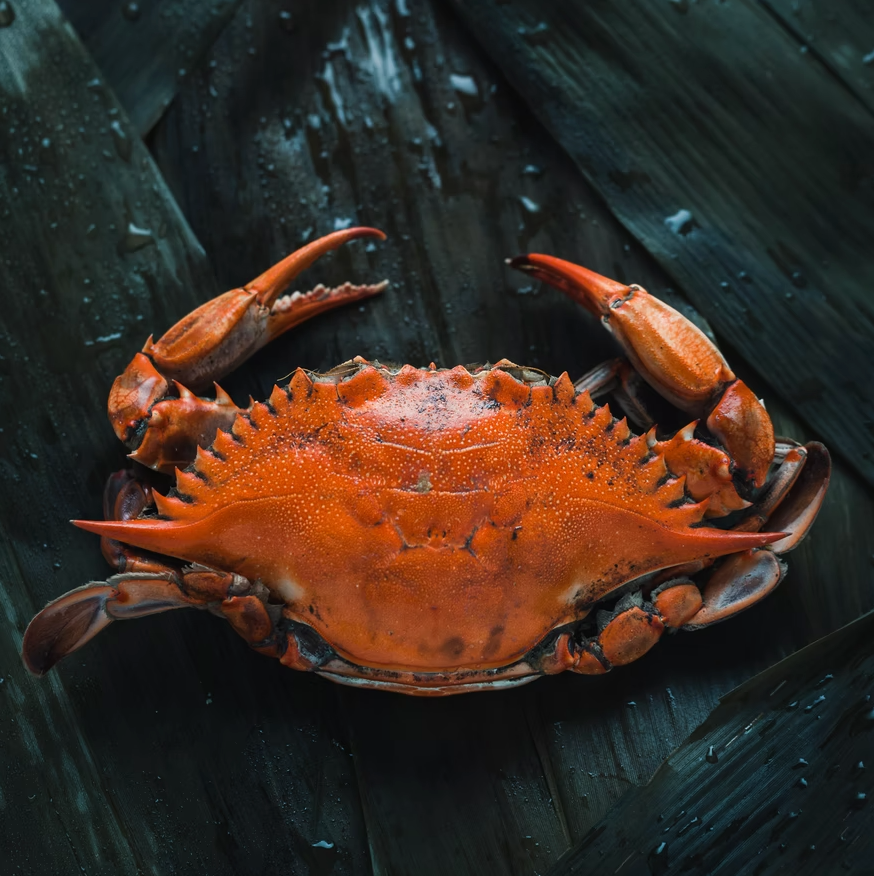 Crab Dressed Ready To Eat