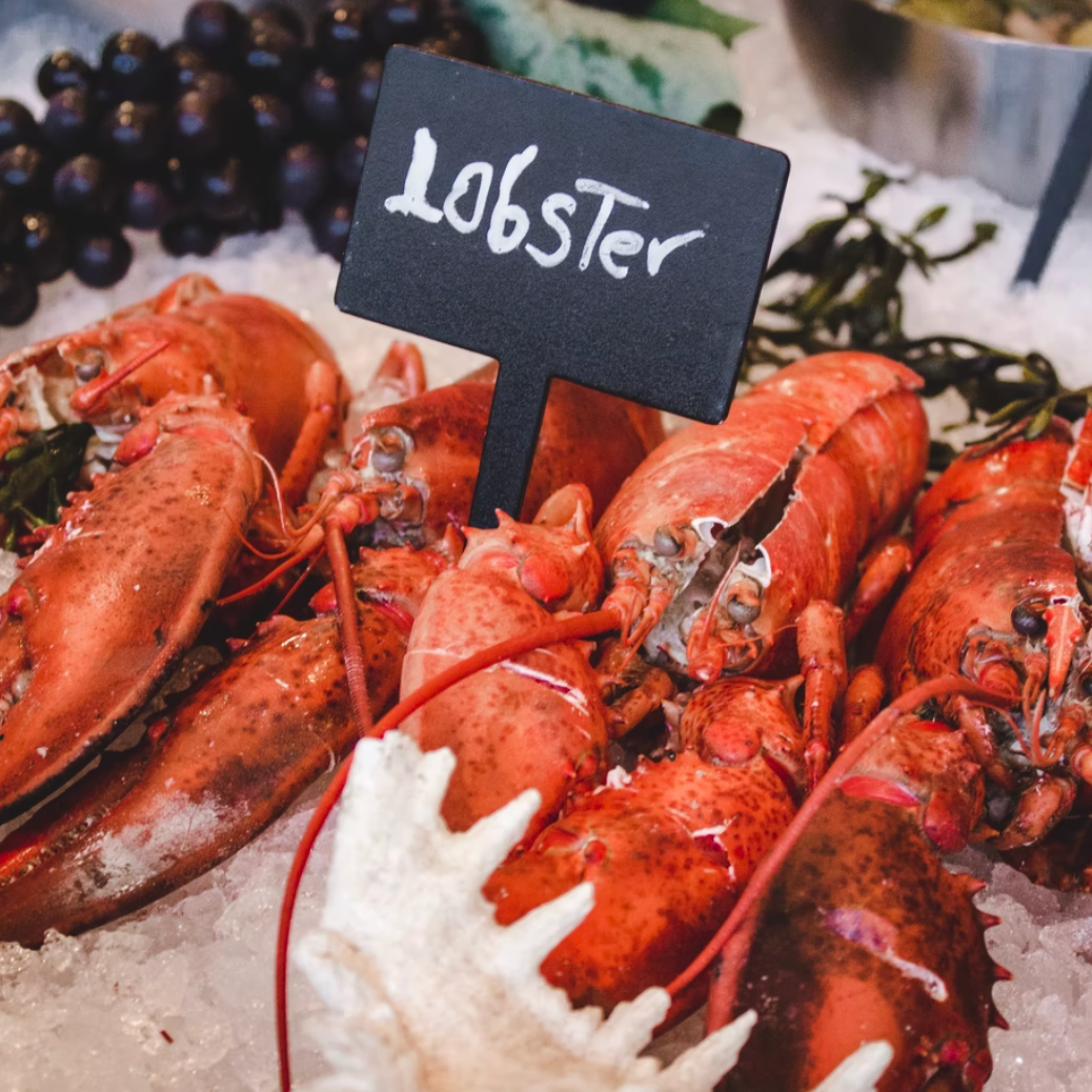 Picked Lobster Meat (225g)